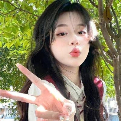 狮子护卫队第一季