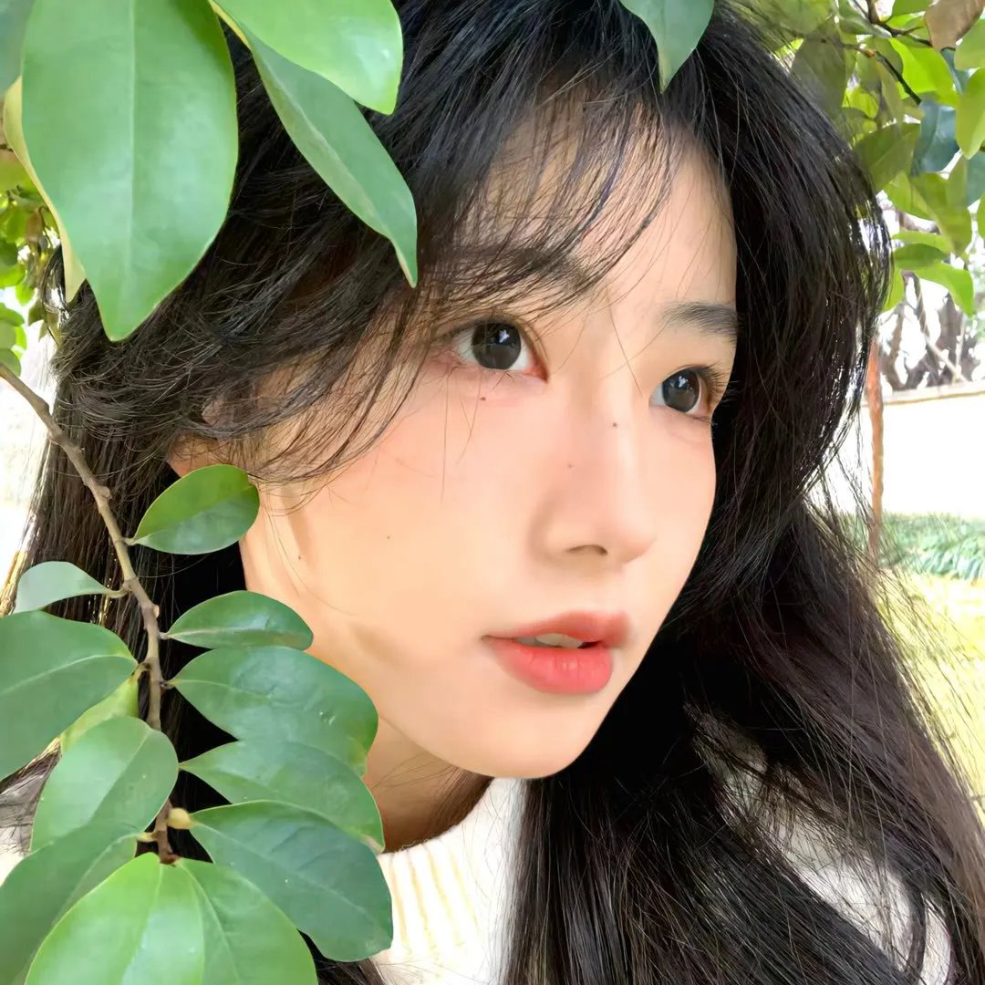 我唯一的拥护者